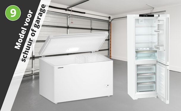 Vrieskist en vrieskast in een koude garage, geschikt voor lage omgevingstemperaturen