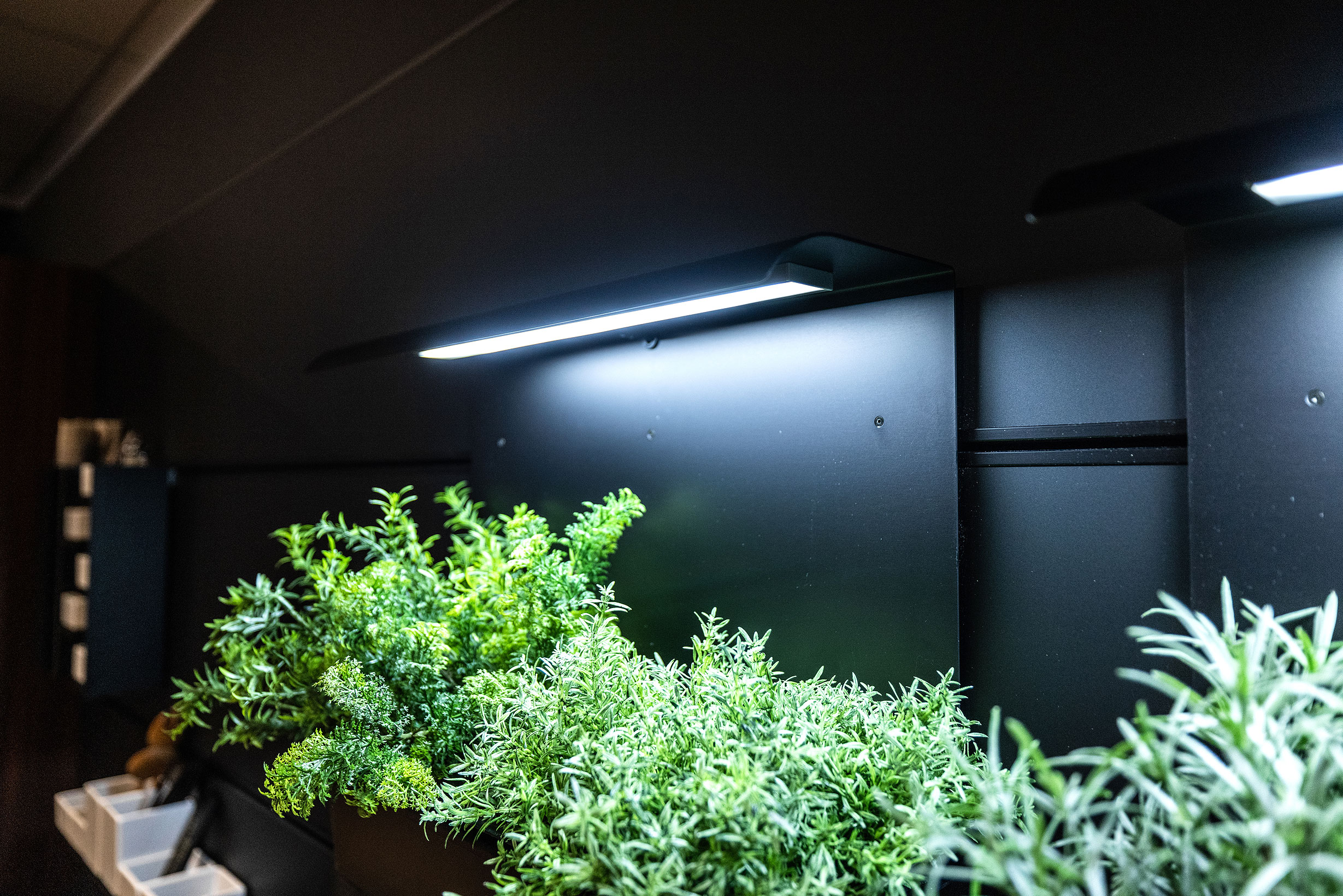 Voor verse kruiden in de keuken is er een paneeltuin met dag verlichting.