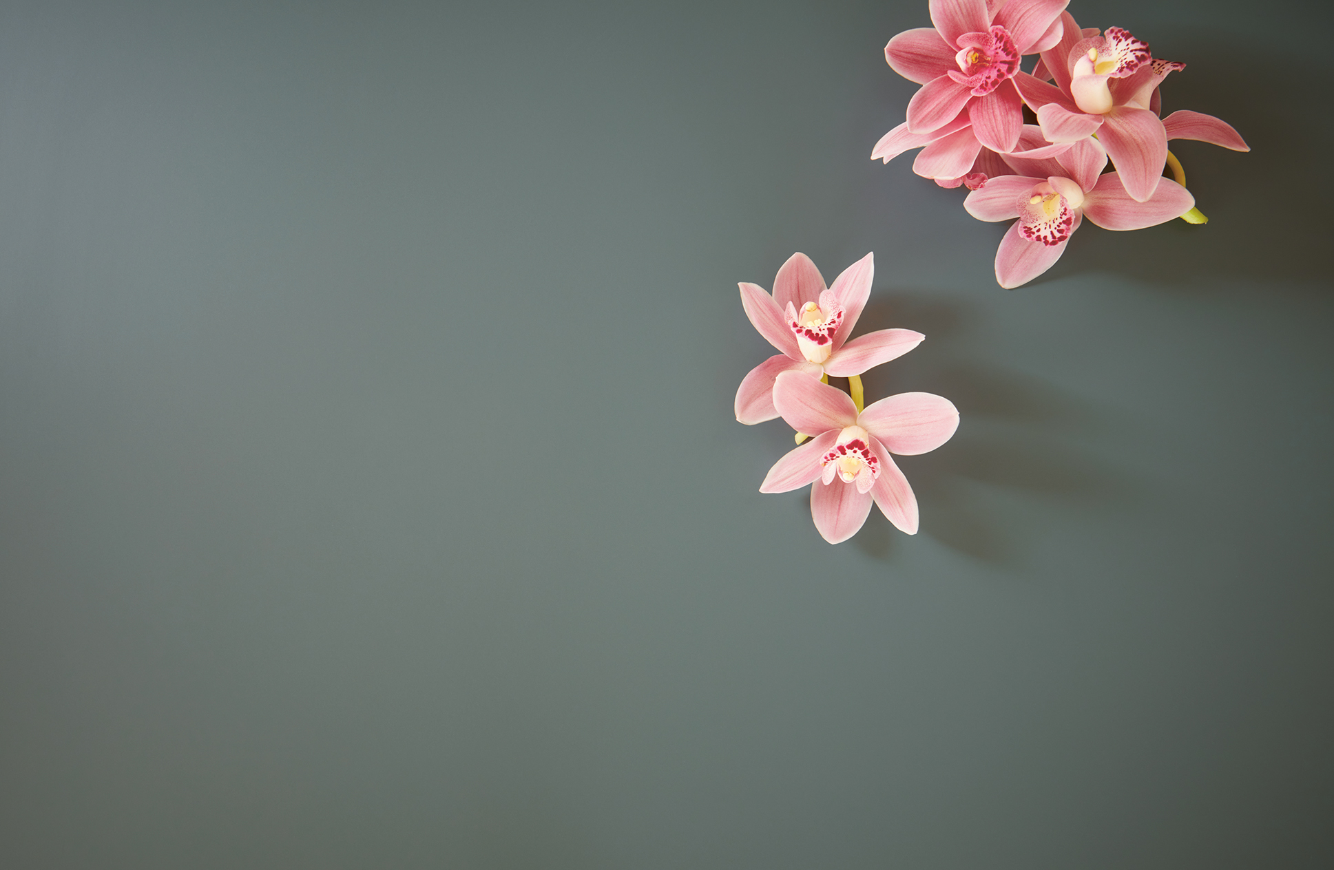 Keuken 1400353 foto 04