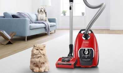 De Bosch ProAnimal stofzuiger is speciaal ontworpen voor mensen met huisdieren.