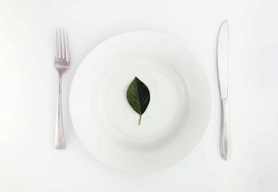 Pelgrim vaatwassers zijn zeer energiezuinig.