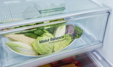 LG Moist Balance Crisper