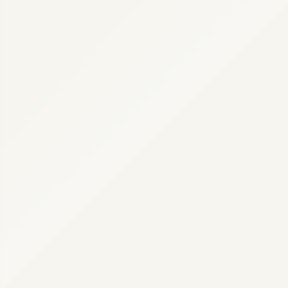 NX501 L111G - Briljantwit hoogglans