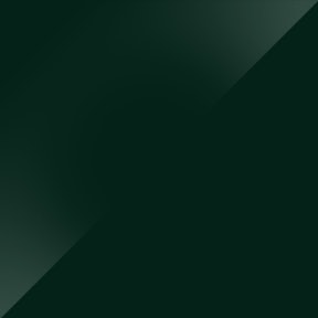 NX505 L335 - Jaguargroen satijn