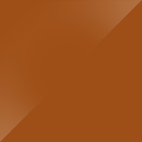 NX505 L405 - Cognac satijn