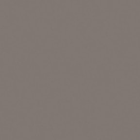 NX510 L262M - Terragrijs fluweelmat AFP