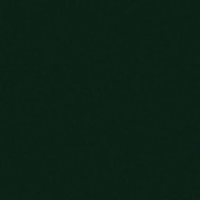 NX510 L337M - Jaguargroen fluweelmat AFP