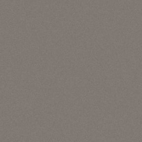 NX901 G261 - Glas glans terragrijs
