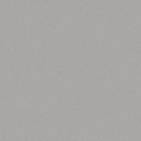 NX902 G237 - Glas mat steengrijs