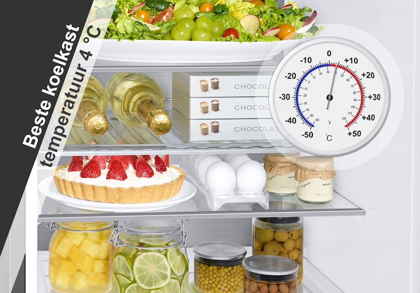 Universele thermostaat 2 2 contacten koelkast / diepvries 484000008685 Universele thermostaat 2 2 contacten koelkast / diepvries 484000008685