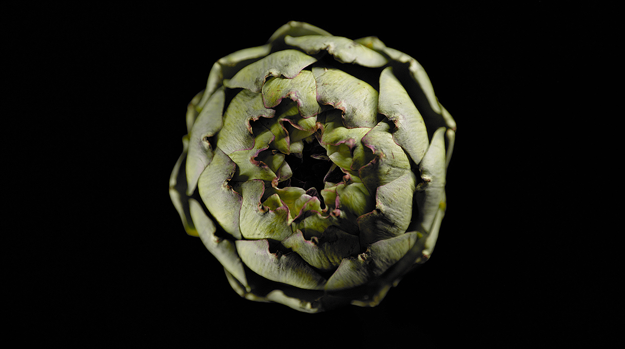 De designaccenten zijn van de gebruikelijke BORA-kwaliteit.