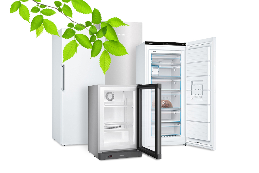 Bespaar met een energiezuinige vriezer