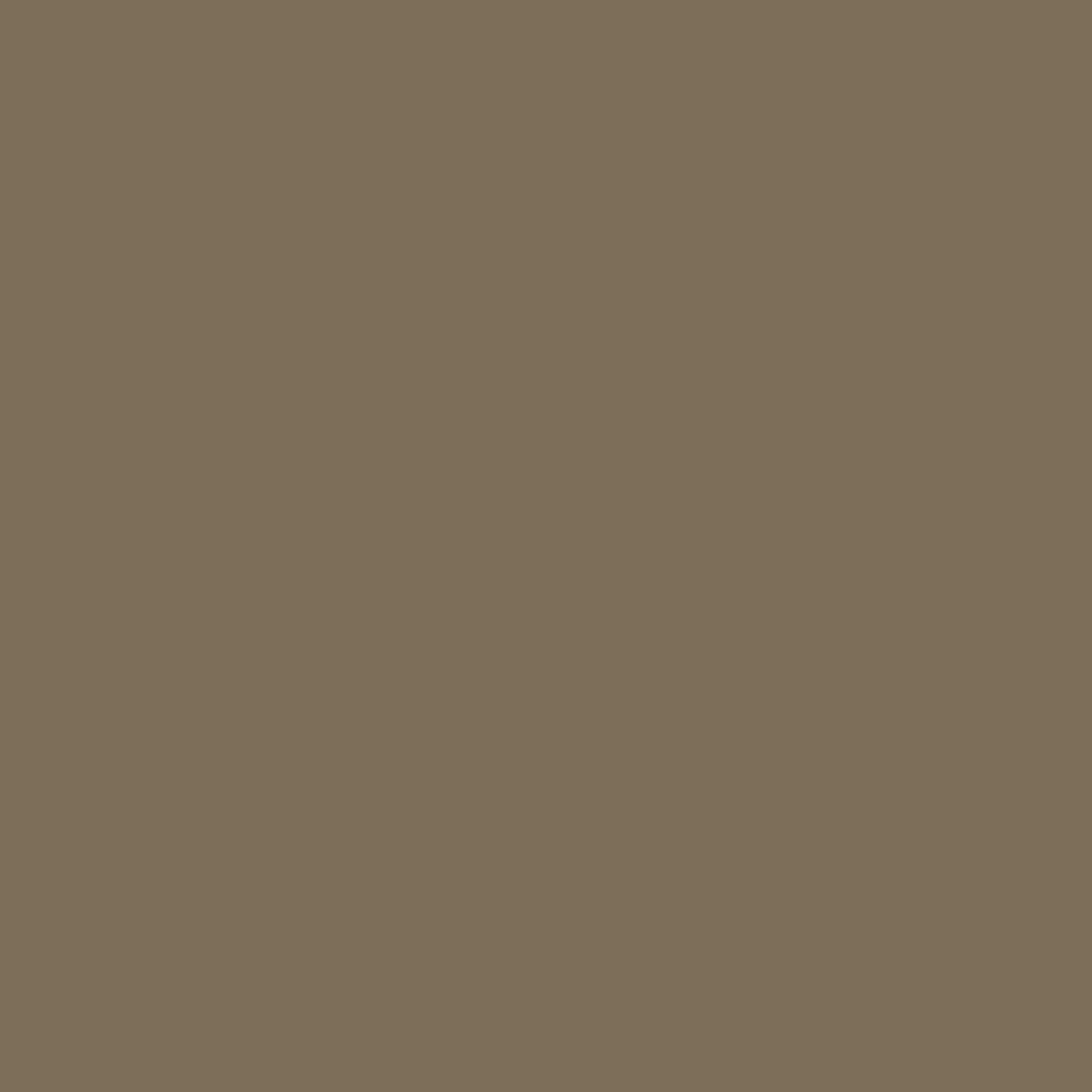 Fenix Castoro Ottawa kleurstaal - Premium kleurencollectie