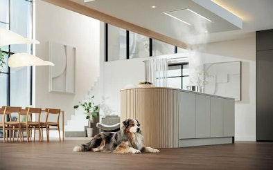 Miele afzuigkap fluisterstil vanaf 35 decibel