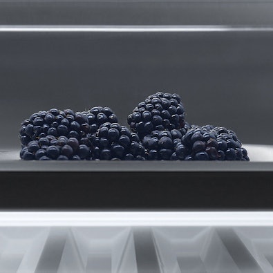 Zwarte bessen in V-ZUG FreshControl-zone met instelbare luchtvochtigheid voor optimale versheid