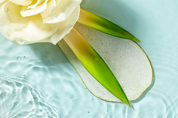 Miele Aqua geurflacon verfrissende geur wasdroger