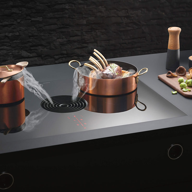 Inductie kookplaat met afzuiging.