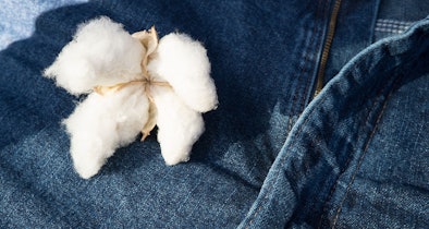 Katoenbloem op denim stof van jeans met focus op 100 procent katoen materiaal