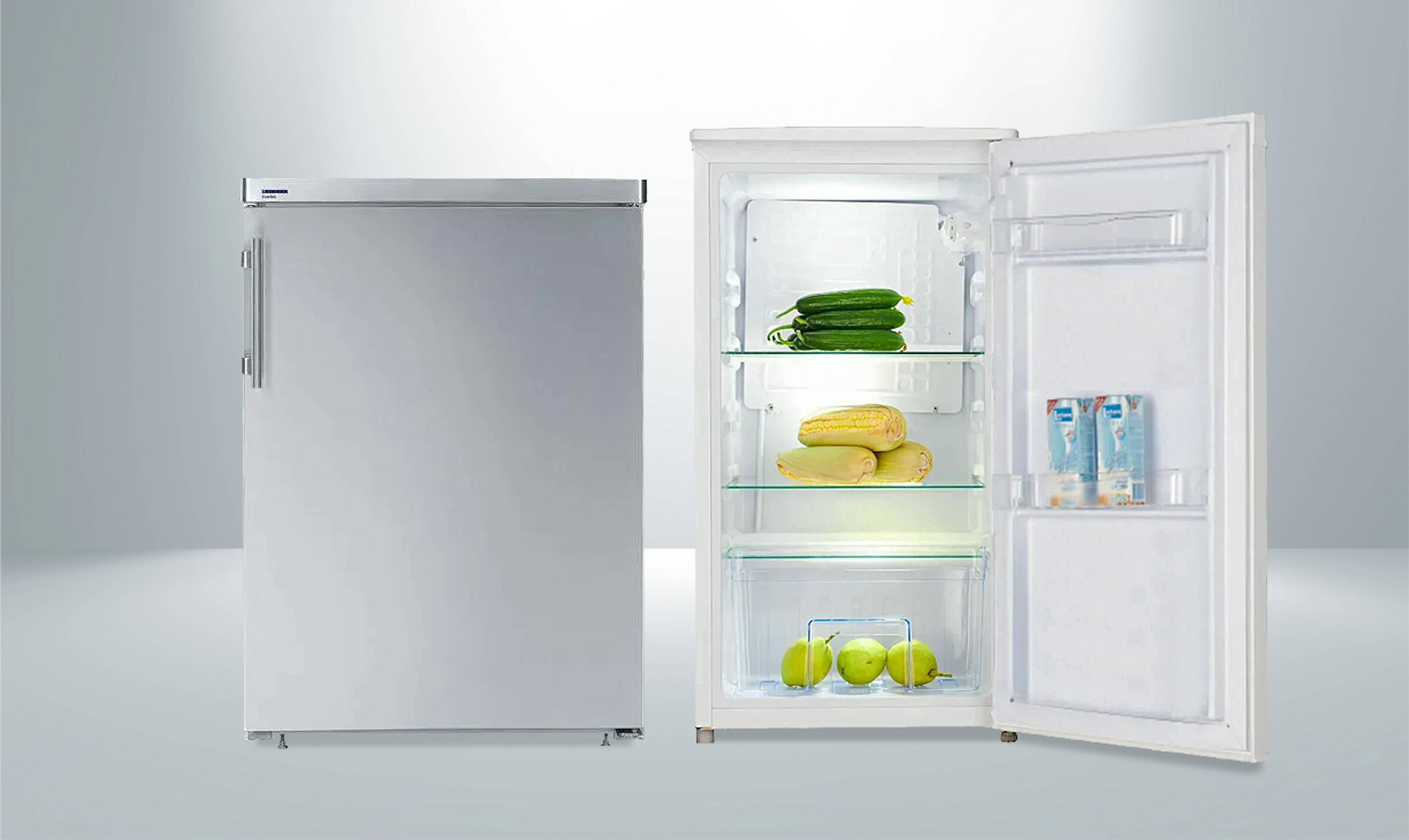 slijtage Zelfrespect wanhoop Kleine koelkast kopen? - Klein model koelkasten van A-merken
