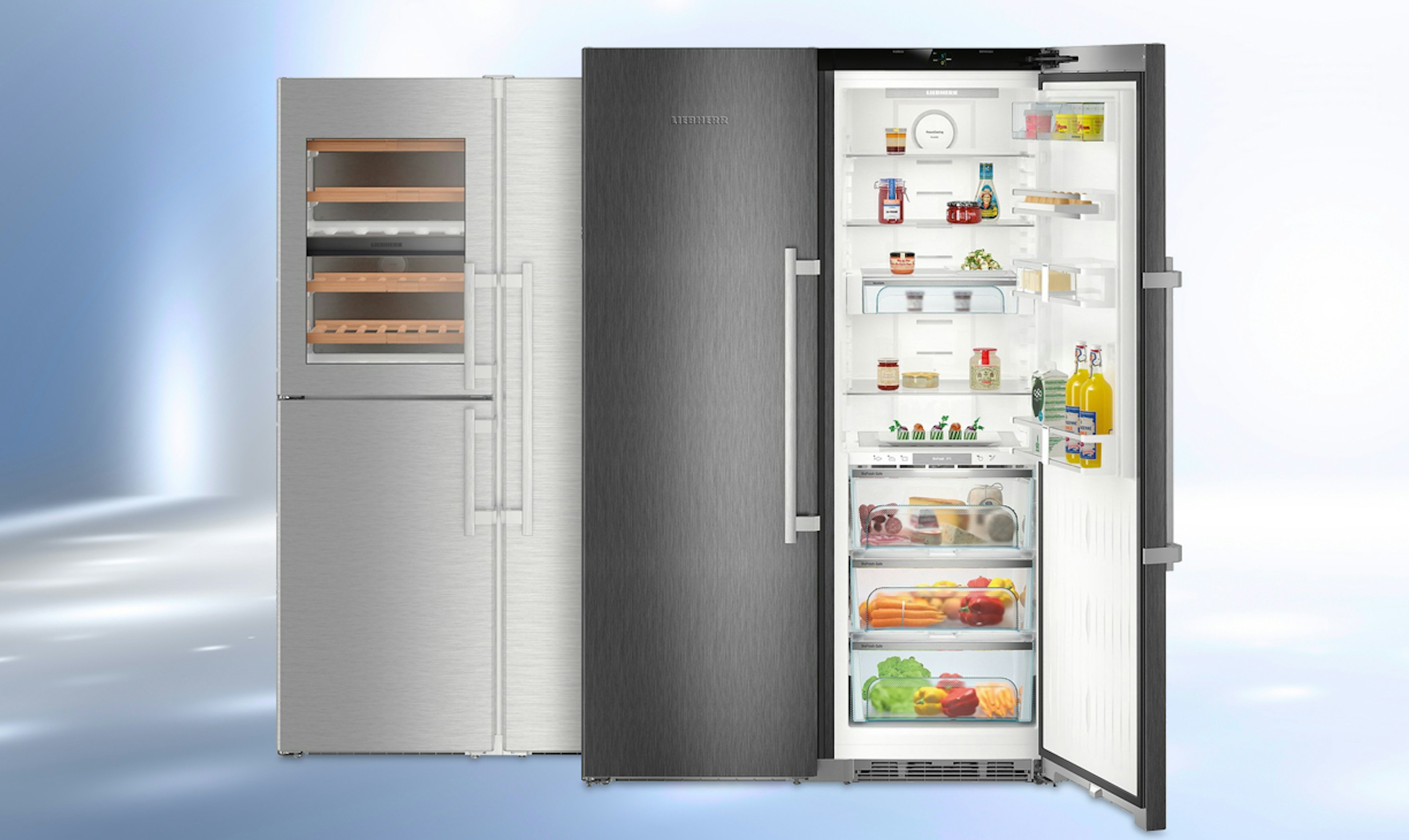 Liebherr 2 deurs koelkasten