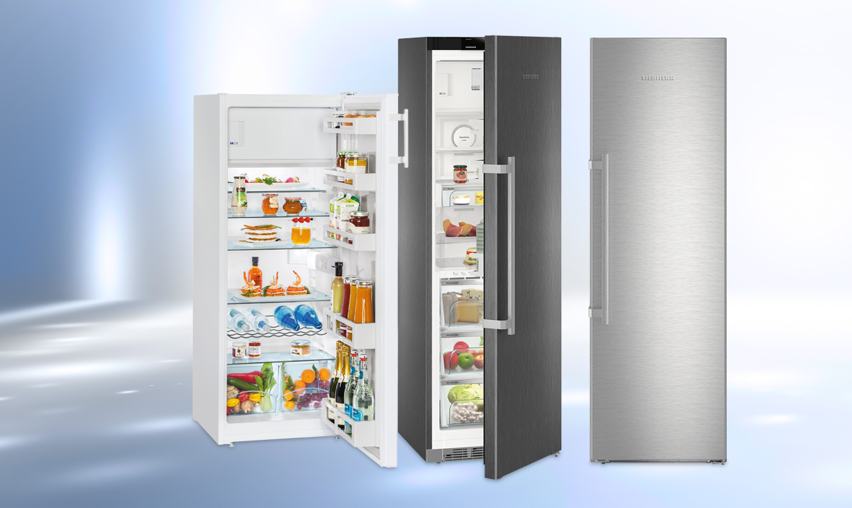 voordat Fobie microscoop Liebherr koelkast kopen? - Alle koelkasten en koelvriescombinaties online!