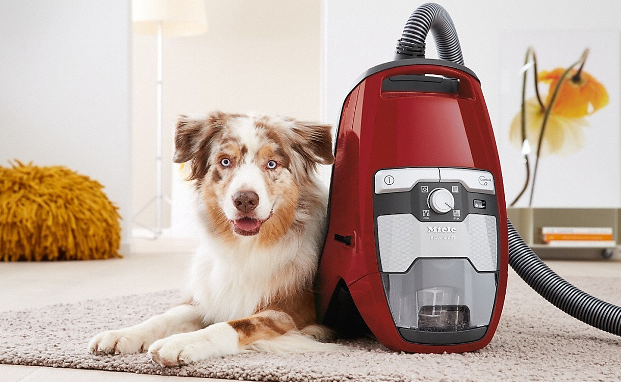 Miele Blizzard CX1 zakloze stofzuiger rood met hond - HEPA filter voor huisdiereigenaren