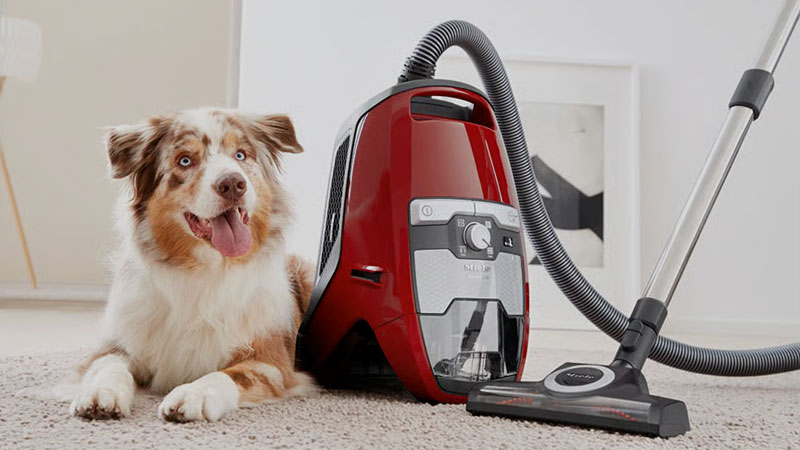 Miele zakloze stofzuiger in rood met hond op vloerkleed