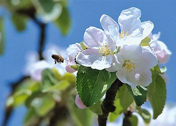 Beste energie-efficiëntie