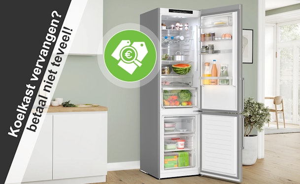 Een oude koelkast kan je wellicht beter vervangen door een energiezuinig model.