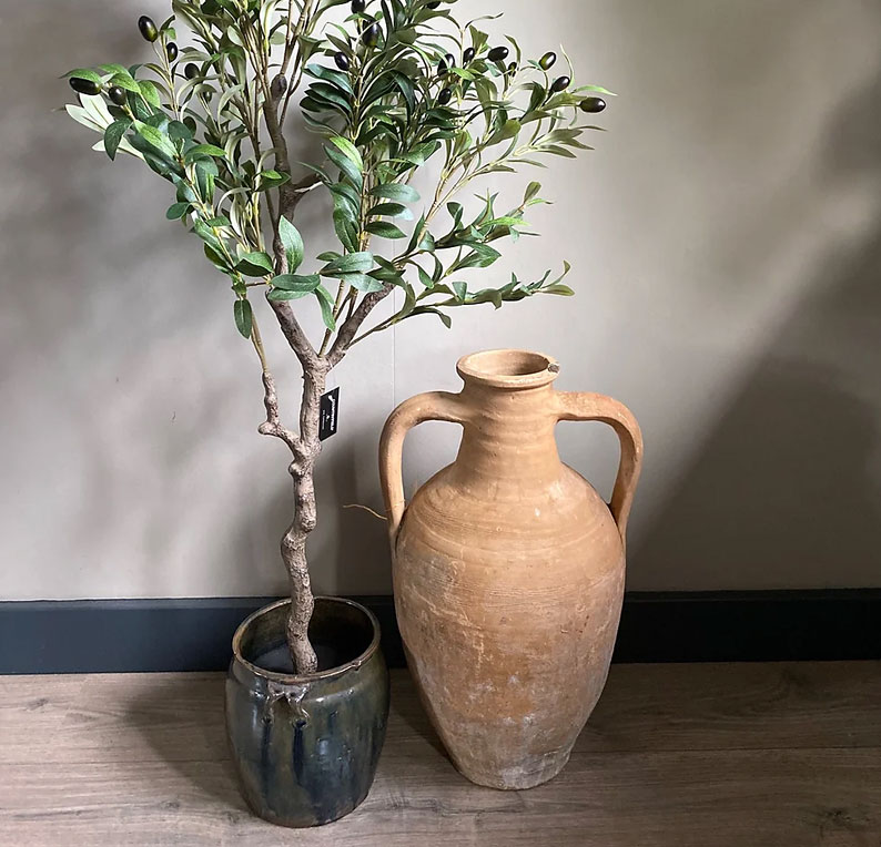 Planten passen perfect bij de Japandi filosofie.