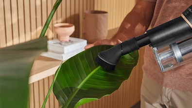 Reliëfborstel met draaibare borstelkop en natuurhaar reinigt voorzichtig groot plantblad zonder schade