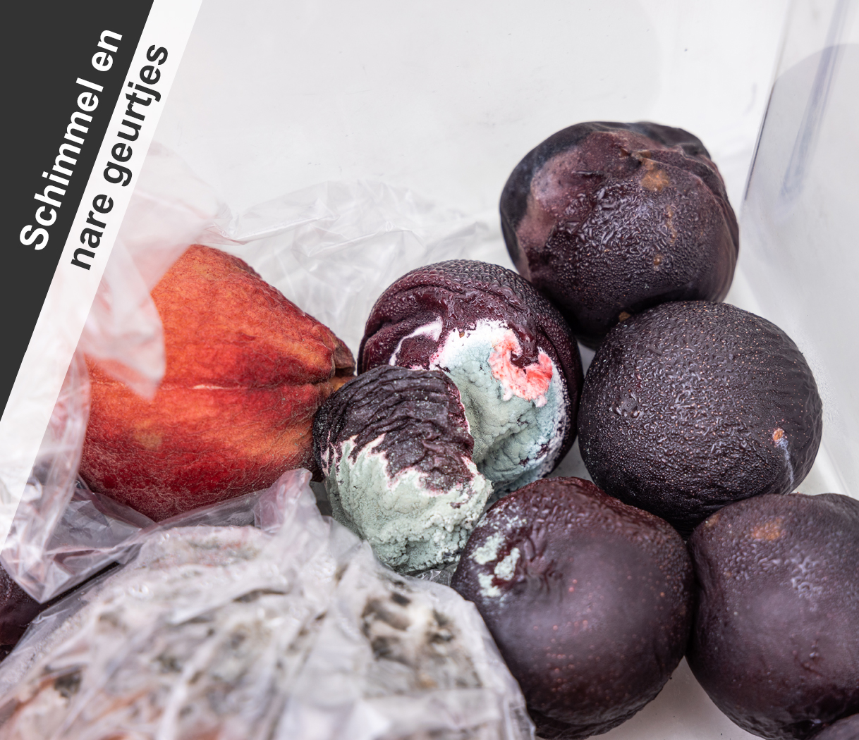 Beschimmeld ingevroren fruit als voorbeeld van geur- en schimmelproblemen in een vriezer