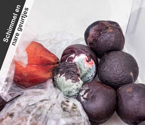 Beschimmeld ingevroren fruit als voorbeeld van geur- en schimmelproblemen in een vriezer