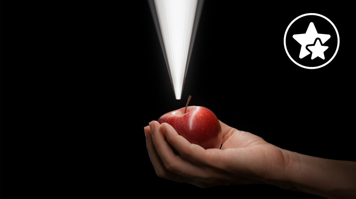 De verlichting van BORA maakt indruk met zijn schitterende kleuren en helderheid.