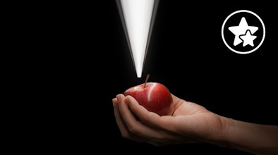 De verlichting van BORA maakt indruk met zijn schitterende kleuren en helderheid.