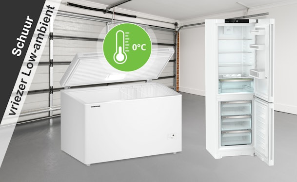 Schuurvriezers in een garage, met een open vrieskist en een staande vriezer geschikt voor lage omgevingstemperaturen.