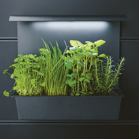 Sfeerverlichting keukenwand