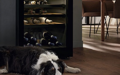 Miele fluisterstille wijnklimaatkast met SilenceSystem onder 38 dB