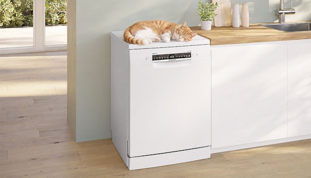 Slapende kat op een stille Bosch vaatwasser in een rustige keuken