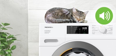 Kat slaapt ontspannen op stille Miele wasmachine