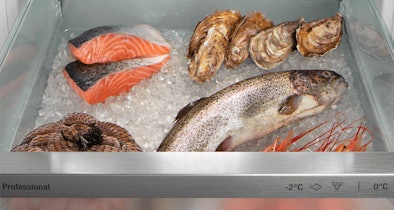 Vershoudlade in een inbouwkoelkast met ijsbed en verse vis, schaal- en schelpdieren in een 0-gradenzone.