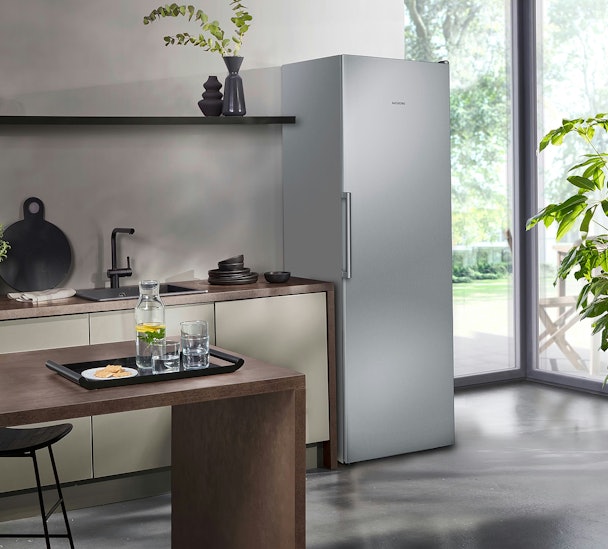 Vrijstaande zilveren vrieskast in een moderne keuken met veel daglicht