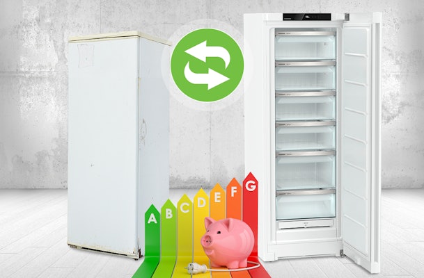 Vergelijking tussen oude en nieuwe vriezer met energielabels, als illustratie voor het moment waarop vervangen goedkoper wordt.
