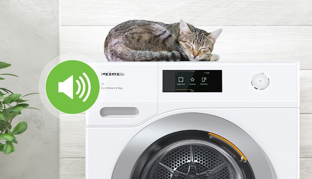 Een kat die ligt te slapen op een stille wasdroger