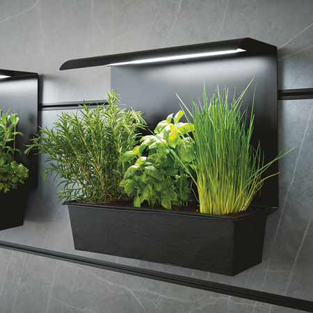 Zwarte houder voor kruidentuintje