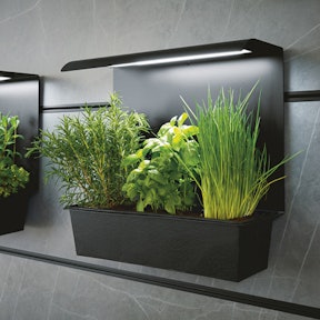 Zwarte houder voor kruidentuintje