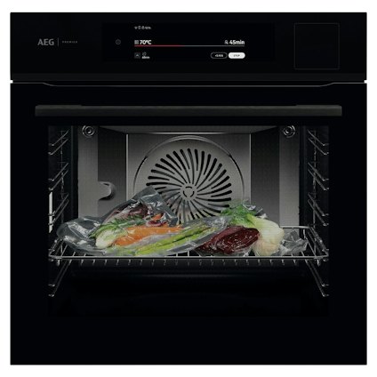 AEG BS9900B