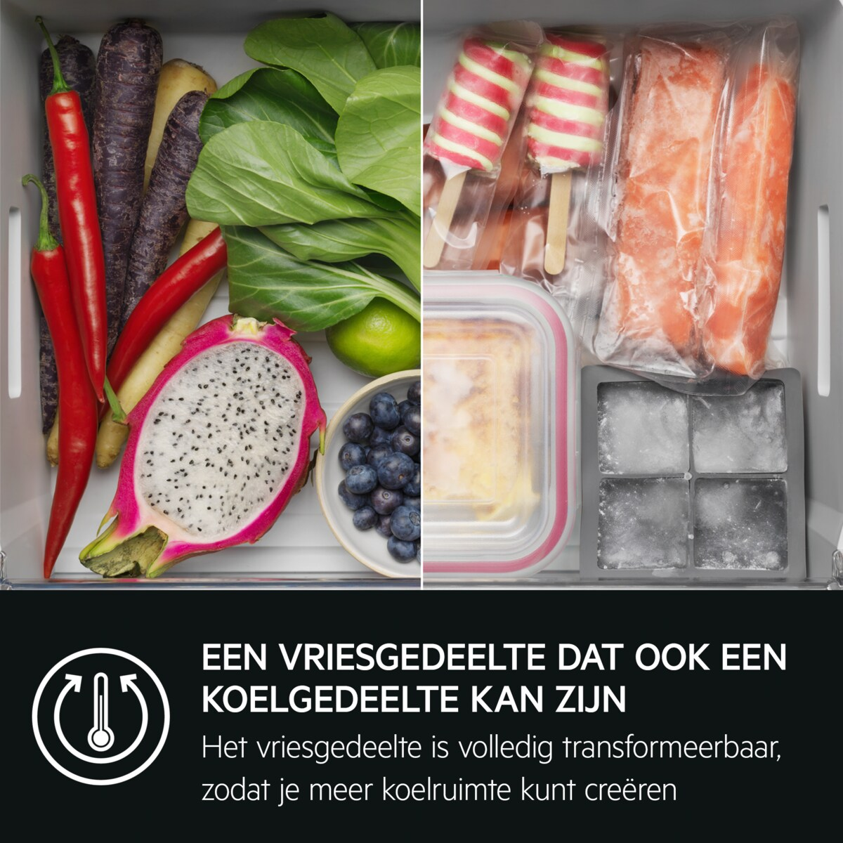 EK9B18C afbeelding 8