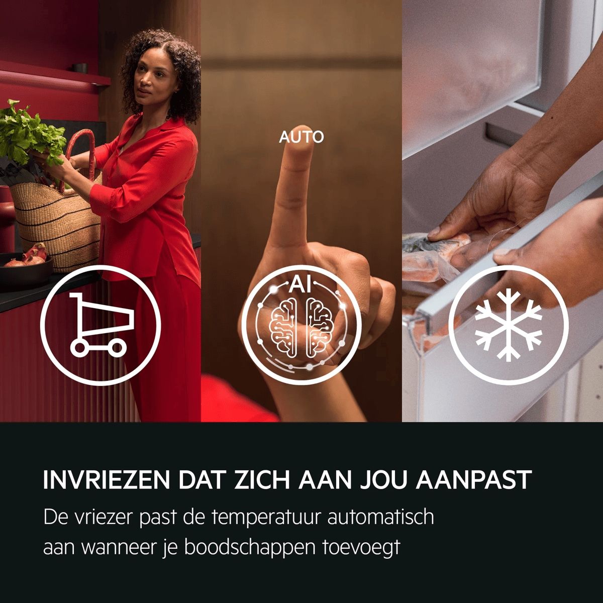 NAB7A181EC AEG afbeelding 2