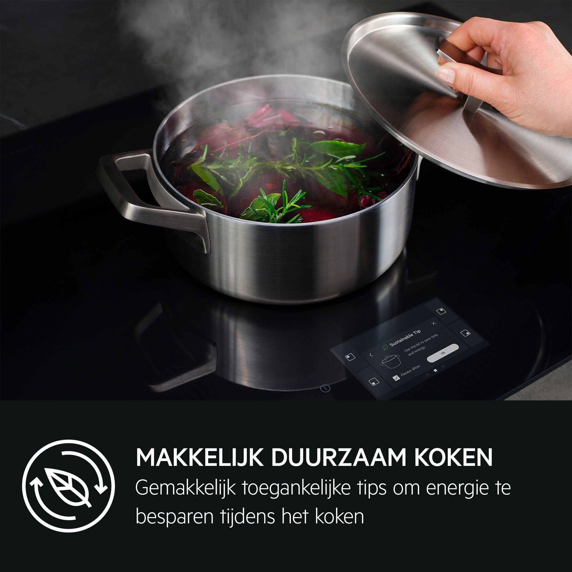 AEG onderdeel  NIG84B30IB afbeelding 4